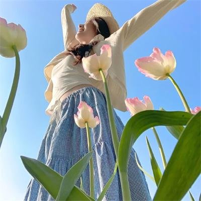 织田肉桂信长